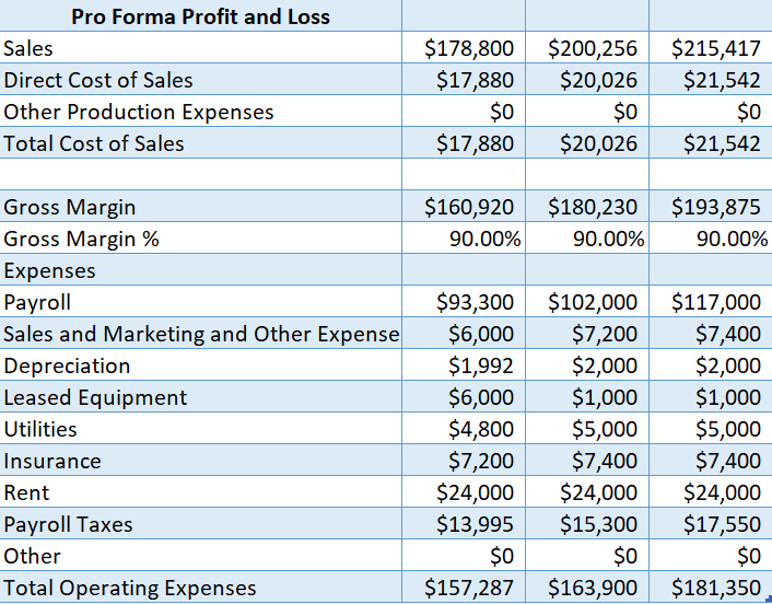 profit and loss sheet - auto repair shop business plan