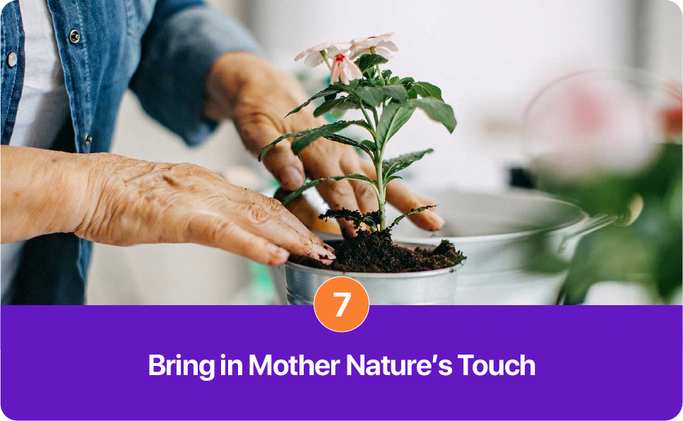 Bring in Mother Nature’s Touch